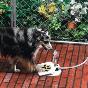 Fresh Water Outdoor Dog Fountain | Easy-to-Use Step Pedal Pet Waterer