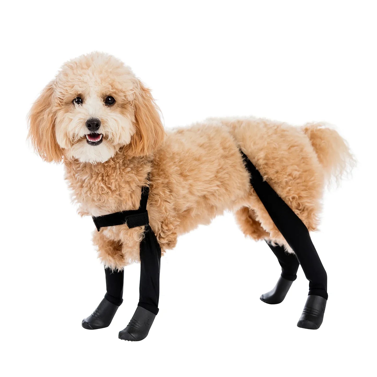 Premium Dog Leggings for Boots | Deluxe Anti-Slip Protective Winter Leg Covers