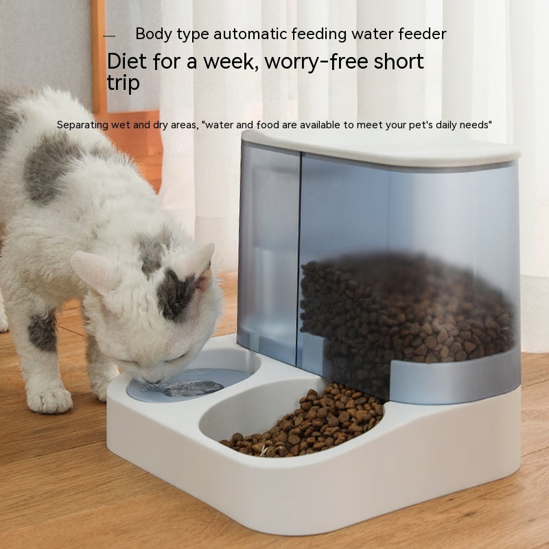 Visual Smart Pet Feeder | Automated Food Dispenser for Portion Control