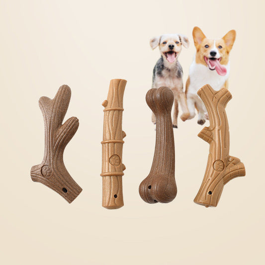 Durable Chew Toys for Small Dogs | Teeth Cleaning, Molar & Interactive Training